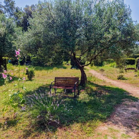 Apartament Rosa 1 *