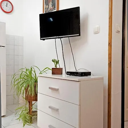 Rosa 1 * Ровинь